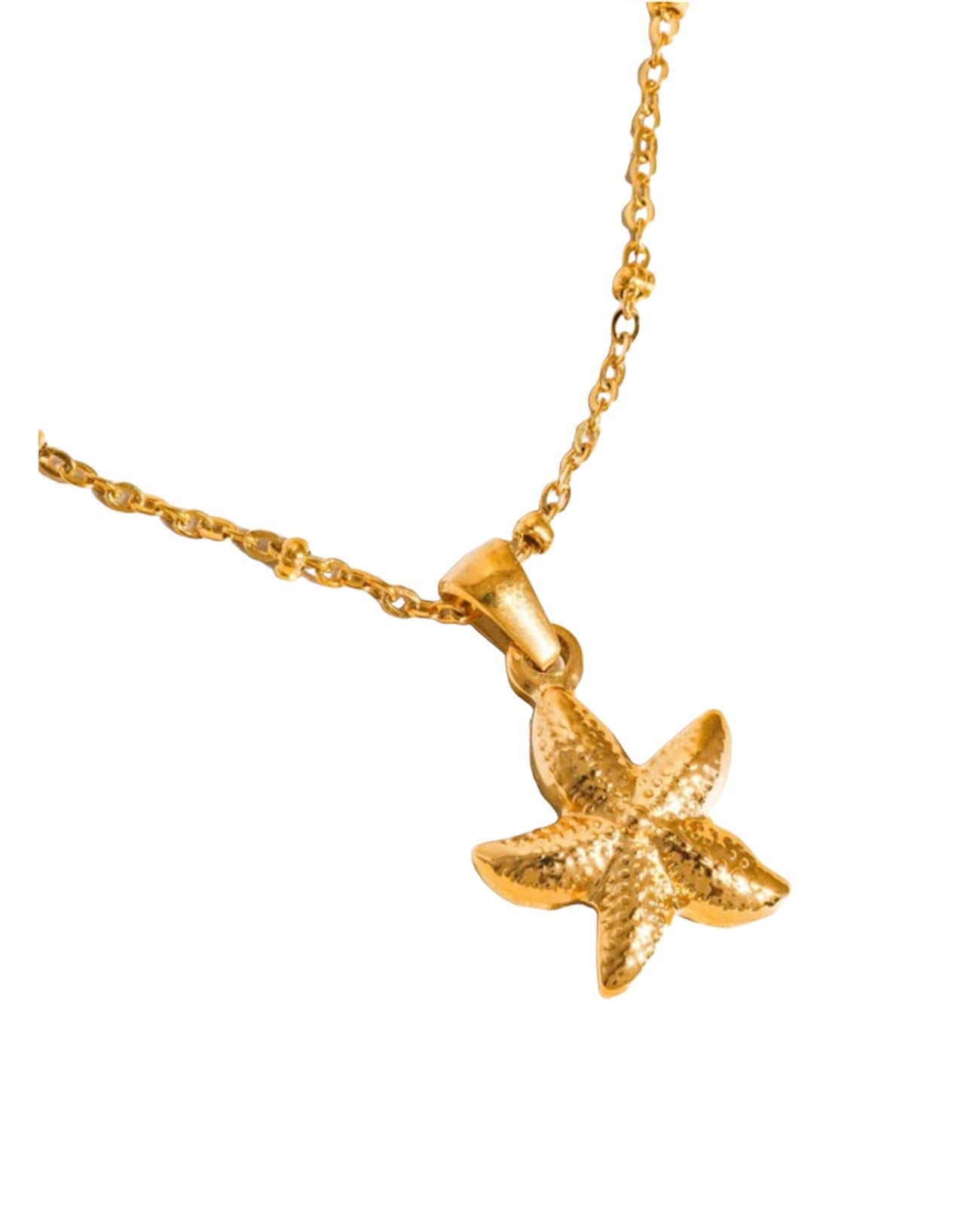 18k Star Necklace